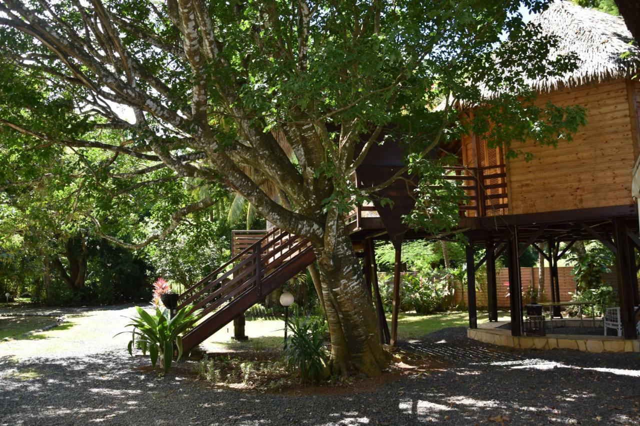 Gite Du Manial "Cabane Du Sentier Des Etoiles" Pointe-Noire Exterior foto